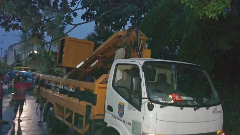 Satu Regu Satgas DLHK Tangani Pohon Tumbang di Perumnas Depok I