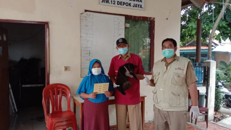 DKPPP Gelar Vaksinasi Gratis untuk Hewan Penular Rabies