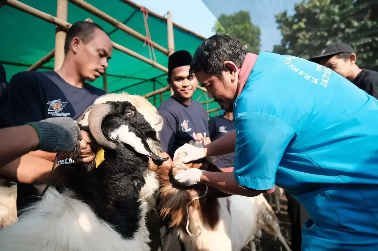 DKP3 Depok Siapkan Pengawasan Hewan Kurban Jelang Iduladha 2026