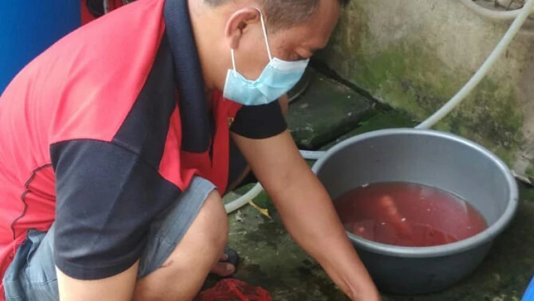 Budidaya Lele Sangkuriang Warga Sukatani Makin Berkembang