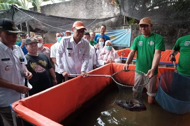 Panen Ikan di Jatijajar, Bang Imam Ajak Warga Kembangkan Pertanian Perkotaan