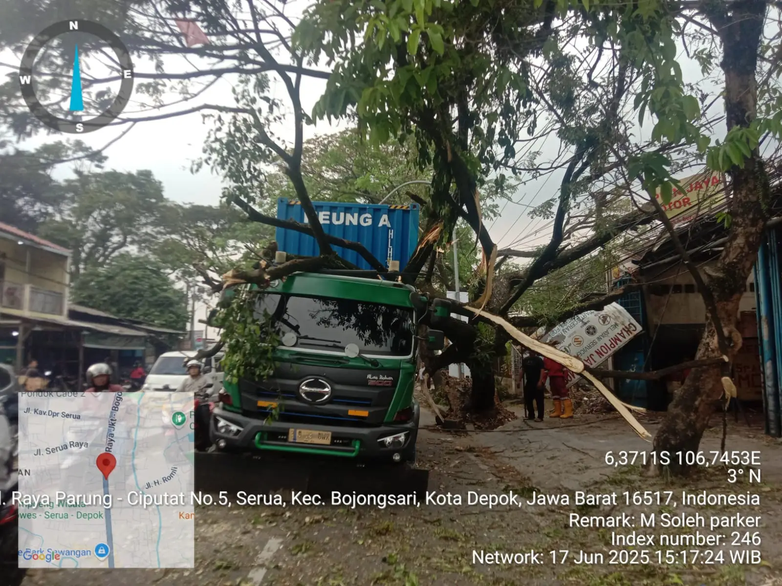 Tertabrak Truk Kontener, DLHK Depok Sigap Tangani Pohon Tumbang di Jalan Raya Parung - Ciputat