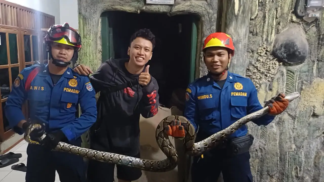 Damkar Depok Tangani Enam Kejadian Evakuasi Selama Awal Oktober
