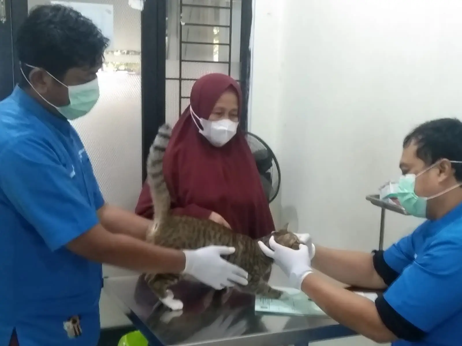DKP3 Depok Sesuaikan Mekanisme WFH, Pelayanan UPTD Tetap Berjalan Maksimal