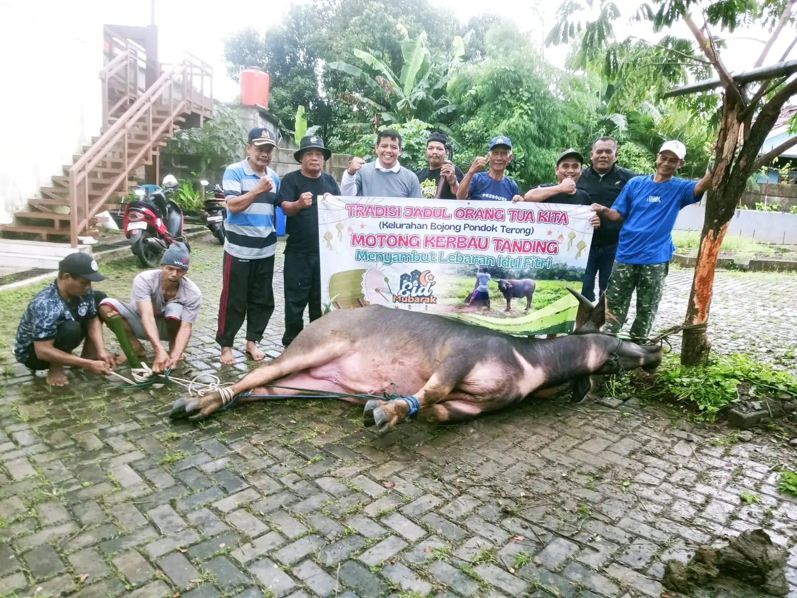 Warga Boponter Potong Kebo Andil, Jaga Tradisi Saat Idulfitri