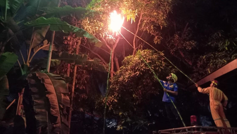 Selama Tiga Hari, Damkar Depok Berhasil Lakukan Sejumlah Evakuasi
