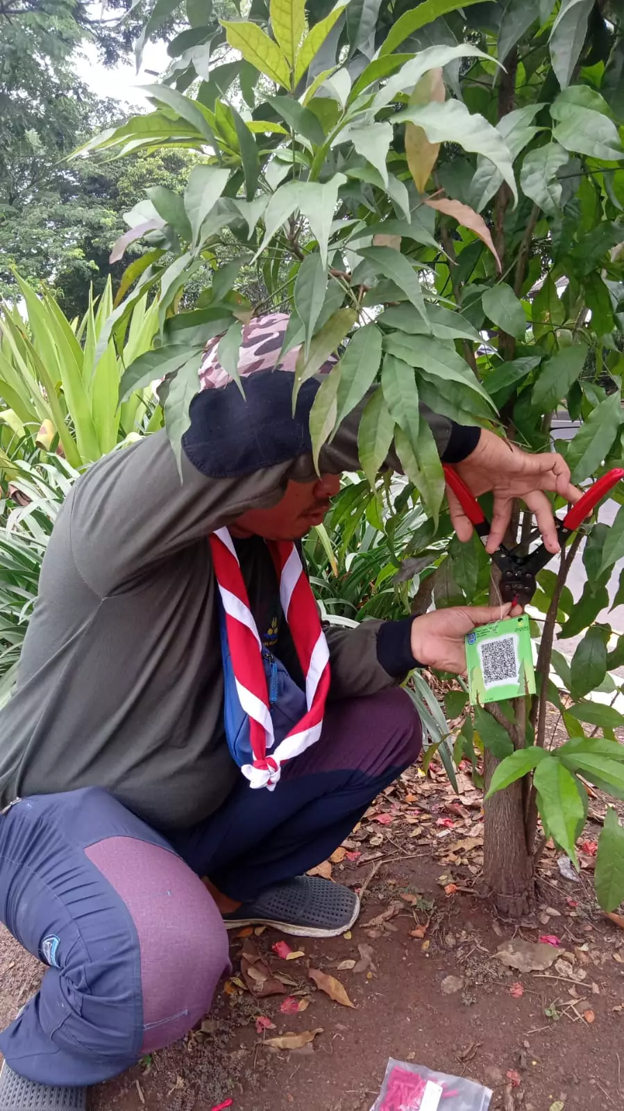 DLHK Kota Depok Barcode Pohon di Sepanjang Margonda-Juanda