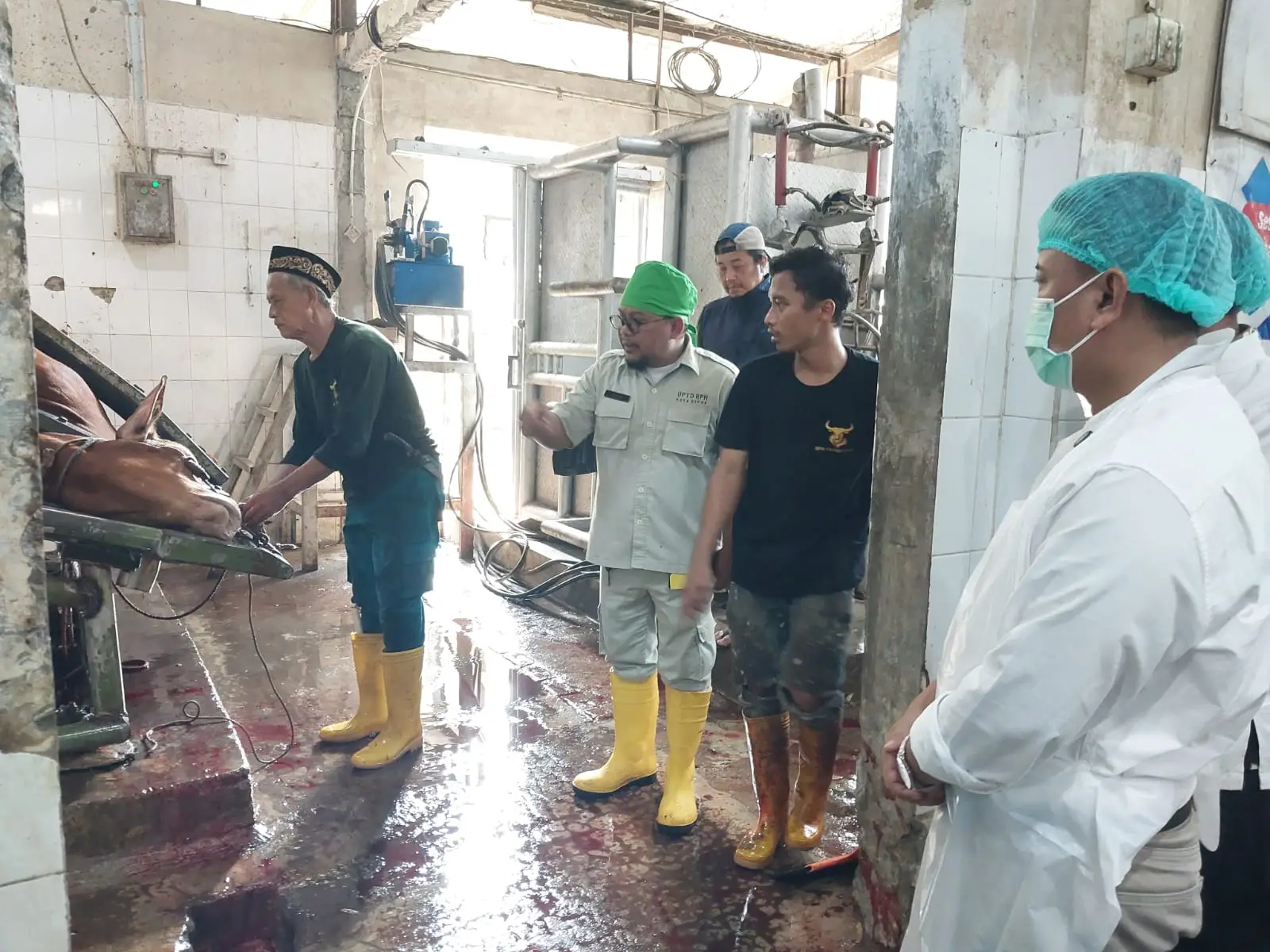 Jamin Perlindungan Konsumen, DKP3 Depok Pastikan Olahan Daging Aman dan Sehat