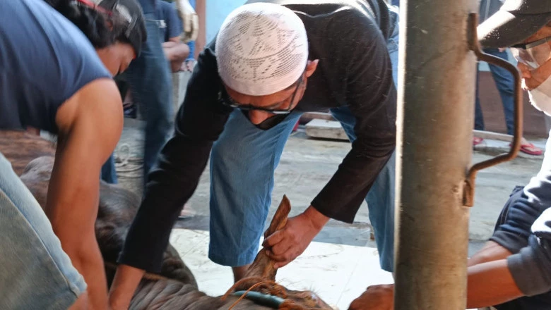 Hindari Kerumunan, Panitia Kurban Masjid Darussalam Bagikan Daging Kurban Door to Door