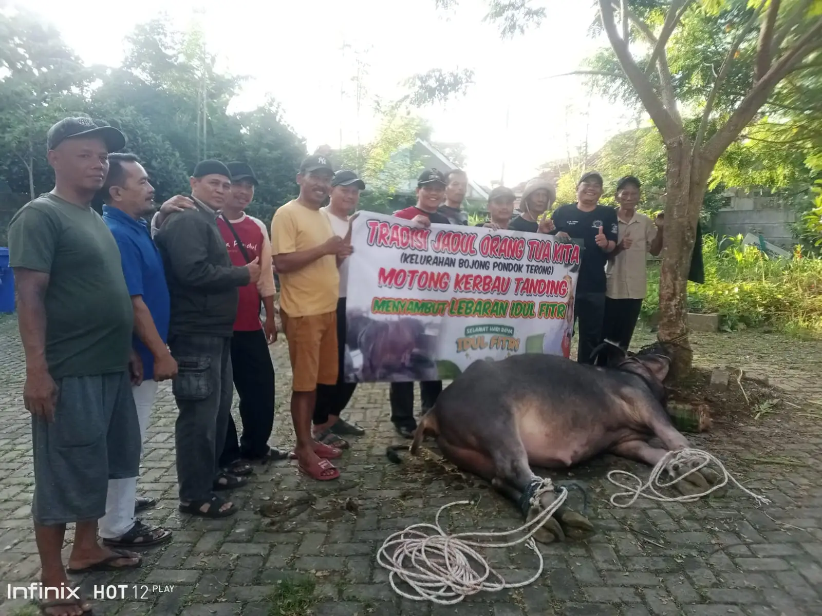 Potong Kebo Andil, Tradisi Menahun Warga Boponter Jelang Lebaran Idulfitri