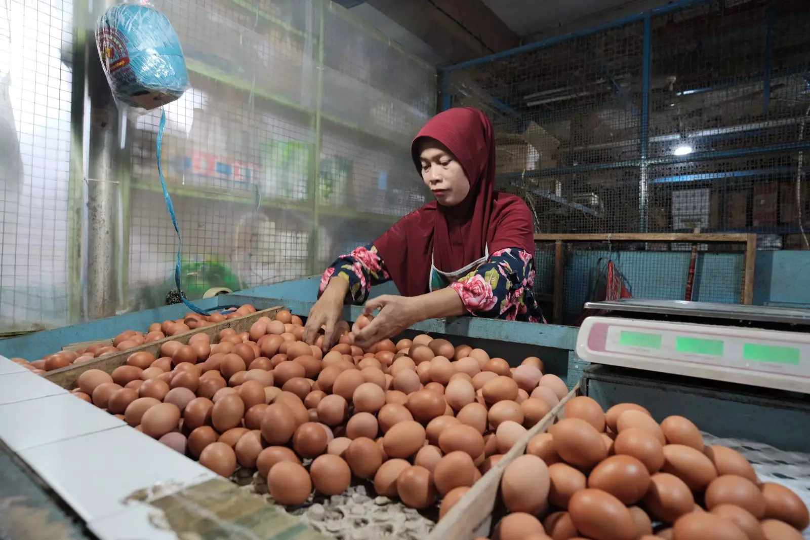 Meski Harga Pangan Naik, Daya Beli Masyarakat Tetap Tinggi