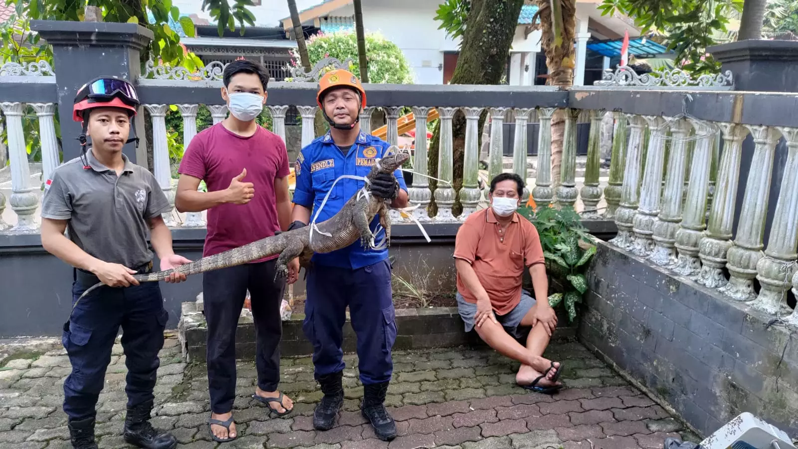 Selama Dua Hari, Damkar Depok Berhasil Evakuasi Dua Hewan Liar dari Pemukiman Warga