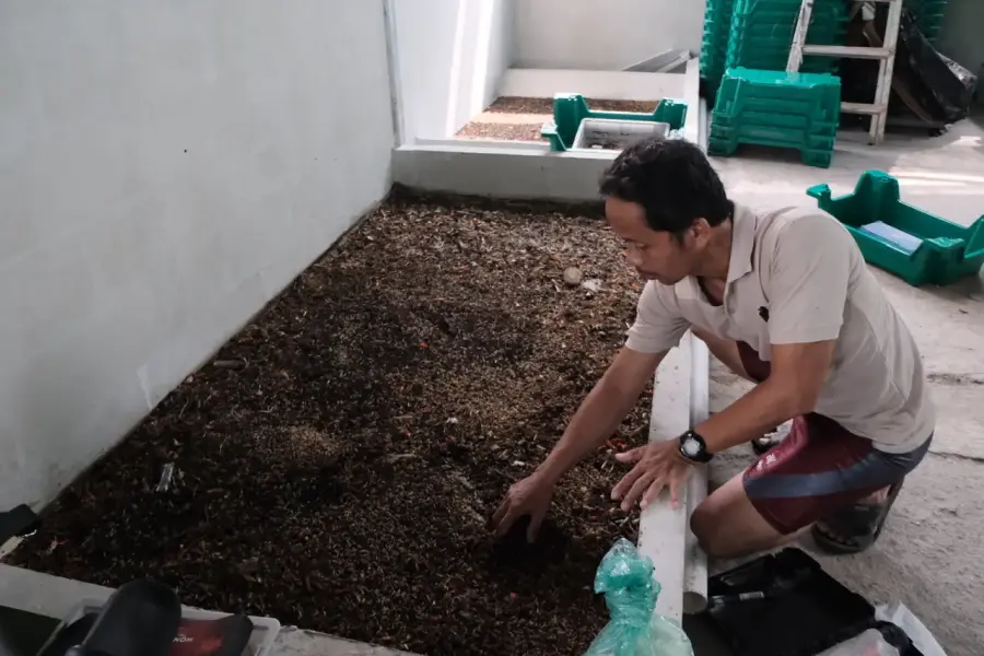 Portal Berita Resmi Pemerintah Kota Depok - Lewat Rumah Budidaya Maggot, Kelurahan Pangkalan Jati Baru Berhasil Kurangi Ratusan Kilogram Sampah Organik