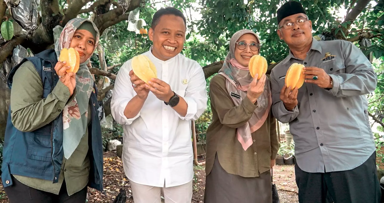 Begini Strategi DKP3 Depok Pertahankan Pertanian Belimbing