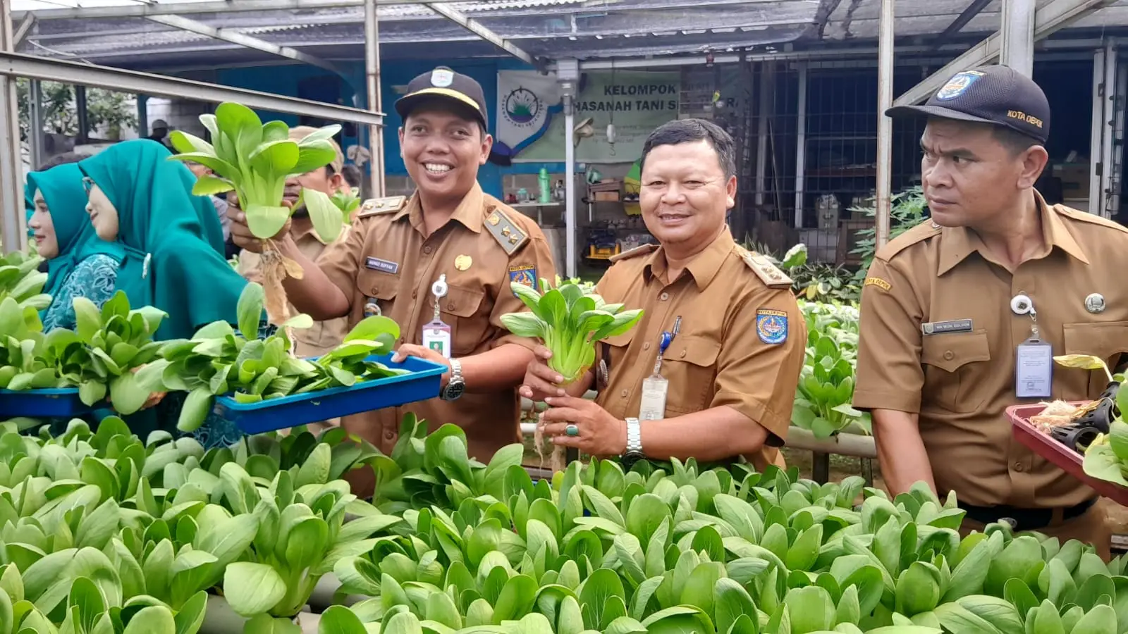 Sera Agribisnis Curug Panen, Bukti Nyata Sinergi Tekan Stunting dan Gerakkan Ekonomi Warga