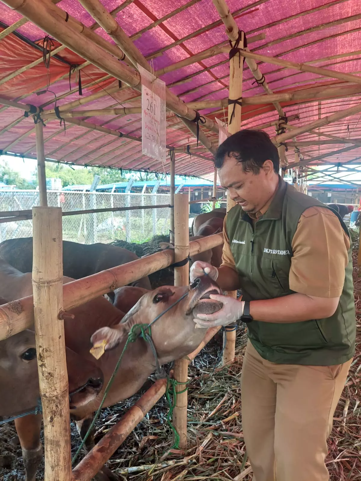 Jelang Iduladha, Ratusan Hewan Kurban di Depok Diawasi