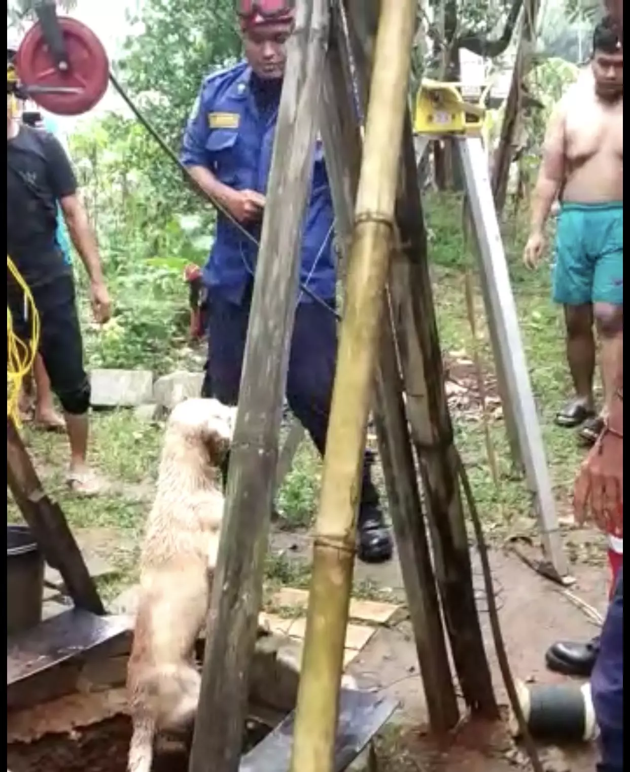 Petugas Damkar Depok Berhasil Evakuasi Anjing Tercebur Sumur di Meruyung