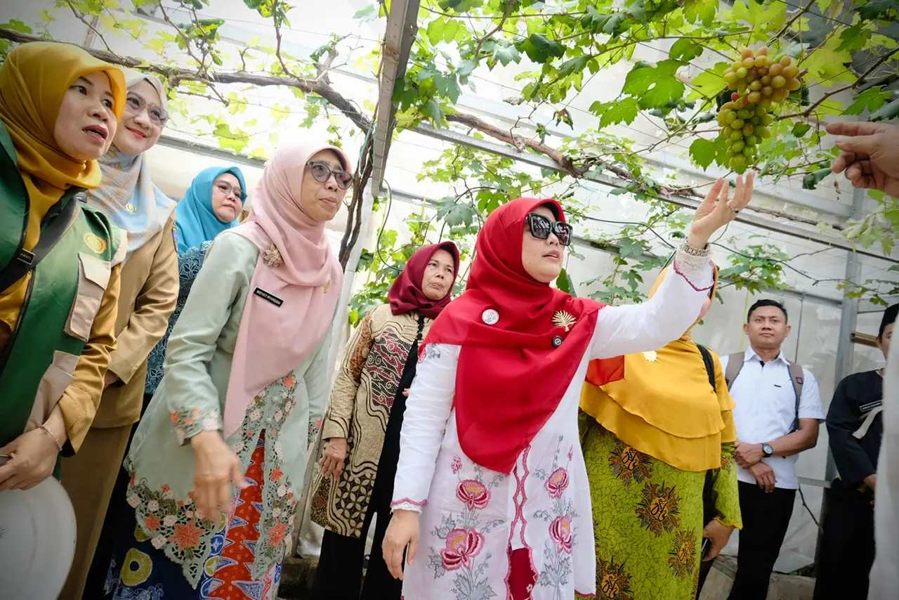 Simak Yuk! Syarat Lomba Beauty Contest Desain Pertanian Modern