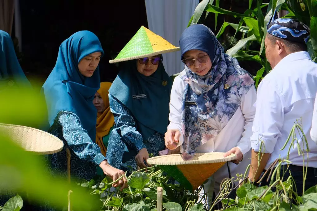 DKP3 Kembangkan Pertanian Perkotaan di RW 10 Pasir Putih