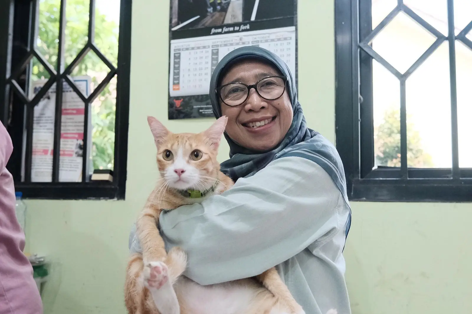 Mau Mudik Bareng Anabul Kesayangan? Ini Tips dari DKP3 Depok