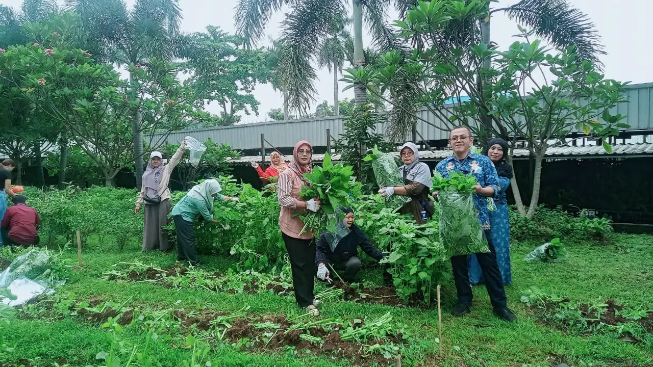Urban Farming Berbuah Manis, Kelurahan Cisalak Bersama PT Bayer Panen Sayur Mayur