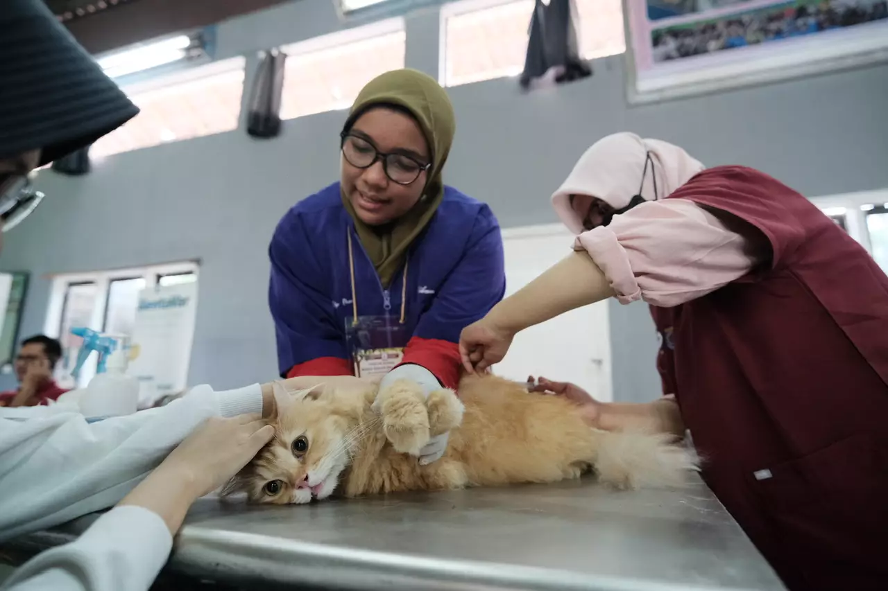 Peringati Hari Rabies Sedunia, DKP3 Depok Berikan Vaksin Rabies Gratis