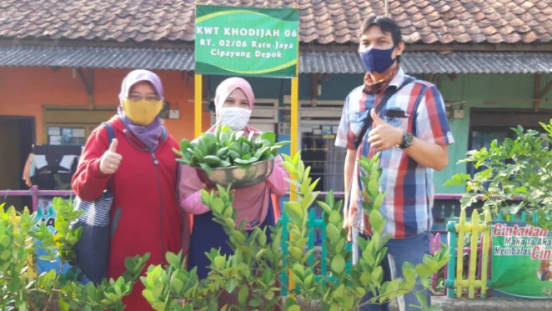 KWT Khodijah Gandeng PDAM Tirta Asasta Atasi Kekeringan Lahan