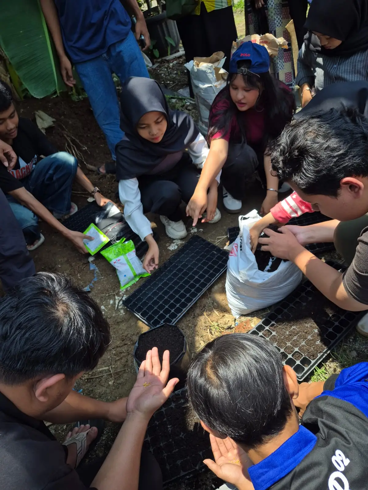 Urban Farming: Ruang Edukasi dan Peluang Usaha Bagi Anak Muda Cilangkap