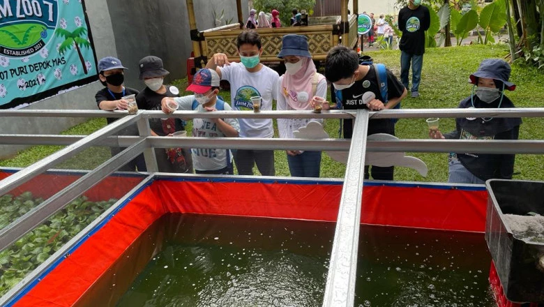 Anak-anak Panmas Ikuti Jelajah Alam di Farm Zoo 7