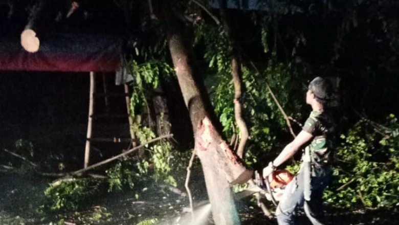 Satgas DLHK Tangani Pohon Tumbang di Sejumlah Titik